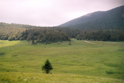 01a_Bildgr��e �ndern