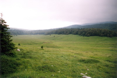 03a_Bildgr��e �ndern