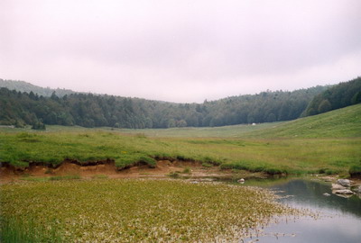 04a_Bildgr��e �ndern