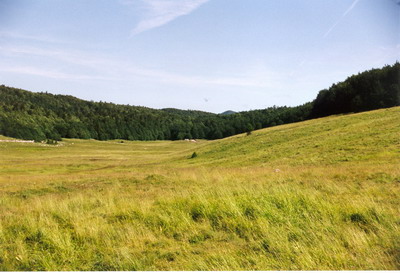 06a_Bildgr��e �ndern