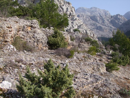 2009_06260165_Bildgre ndern