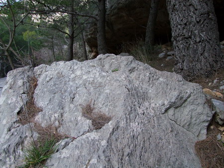 2009_06260172_Bildgre ndern