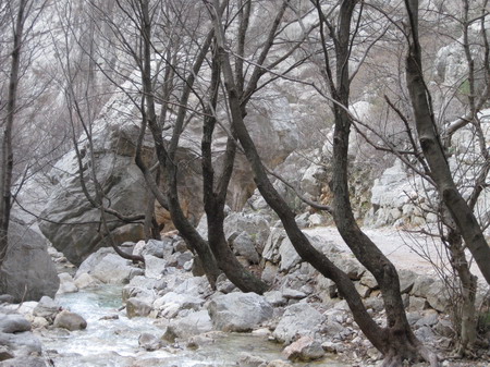 Winter-Kroatien 2009 168_Bildgre ndern